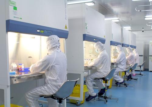 植物細胞實驗室如何施工建設